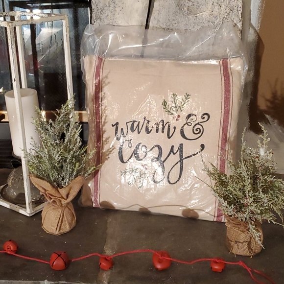 Other - Christmas decor pillow